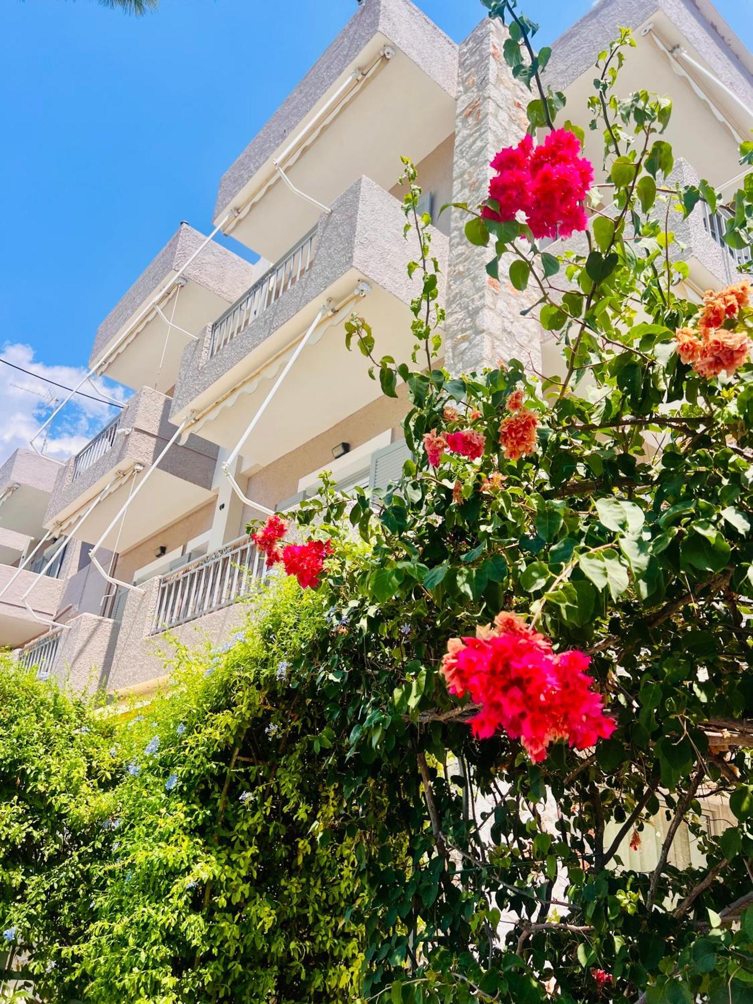 Aloe Luxury Apartments ปอร์โตเฮลี ภายนอก รูปภาพ